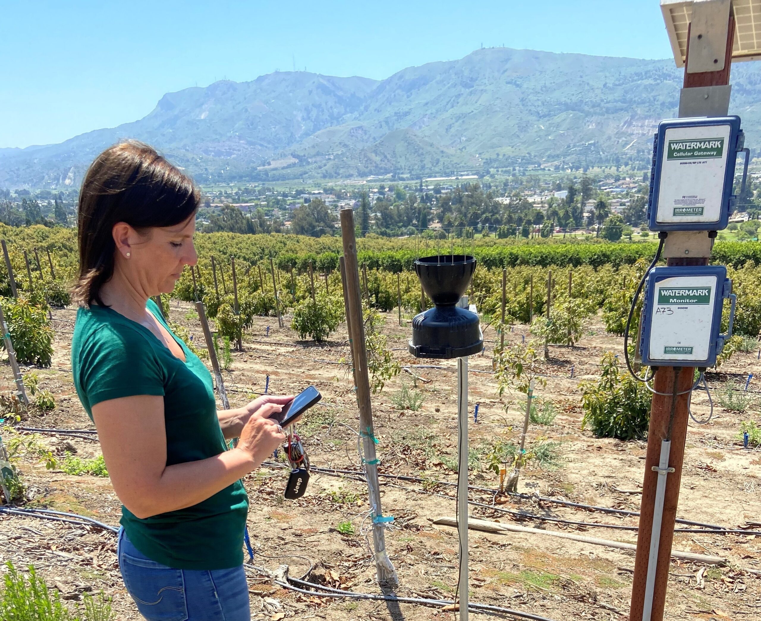 Ventura County avocado farmer Lisa Tate uses a cellphone app to check on soil conditions. The Ventura County Resource Conservation District has provided state grant money to help local avocado, strawberry and vegetable growers install soil-moisture sensors to aid in irrigation decisions. Photo by Rob McCarthy.