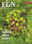 FGN FEB 2024