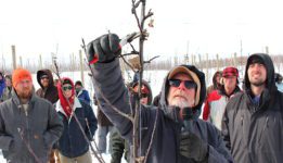 pruning photo