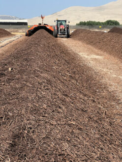 Naturipe is a large producer of organic blueberries, with year-round production sourced from prime growing regions in Peru (shown here with its composting operations), Chile, Mexico, Florida, Georgia, California, Oregon and Washington. Photos courtesy of Naturipe Farms.