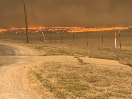 Texas wildfires