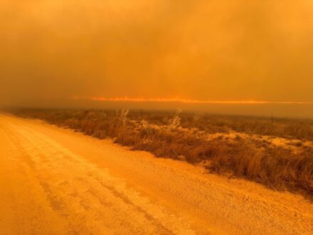Texas wildfires
