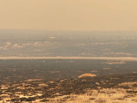 Texas wildfires