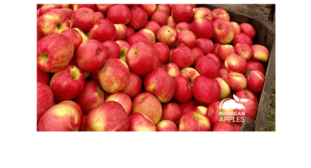 apples Michigan
