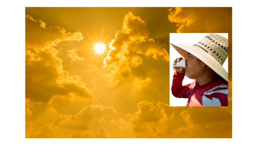 California heat sun sky farm worker