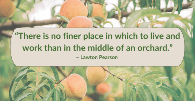 Lawton Pearson quote about Pearson Farms