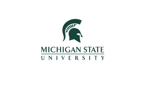 MSU Michigan State University