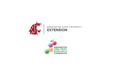 WSU Extension-Washington Tree Fruit Research Commission